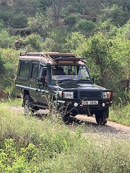 Game Drive im Tsavo West