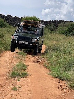 Game Drive im Tsavo West