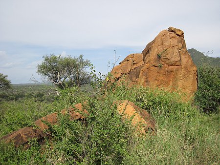 Game Drive im Tsavo West