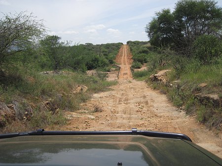 Tsavo Game Drive