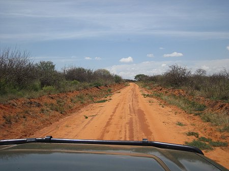 Tsavo Game Drive