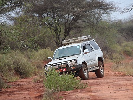 Game Drive im Tsavo West