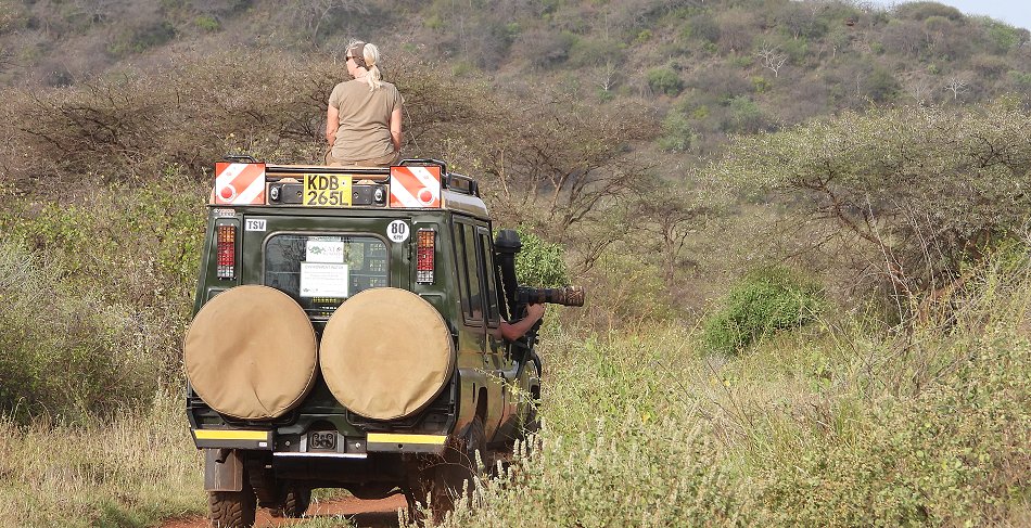 Game Drive im Tsavo West