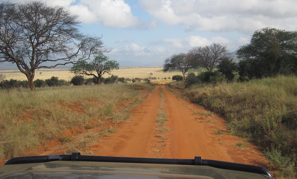 Tsavo Ost Pirschfahrt
