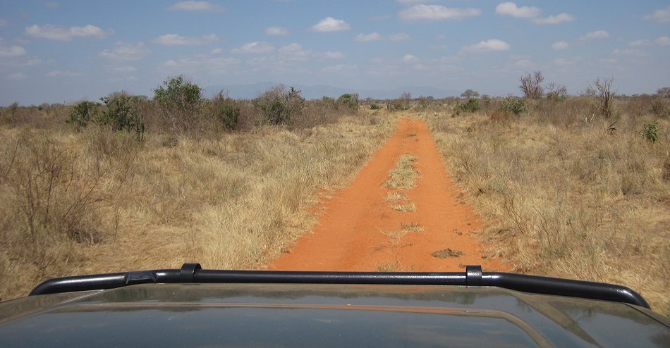 Tsao Ost game Drive