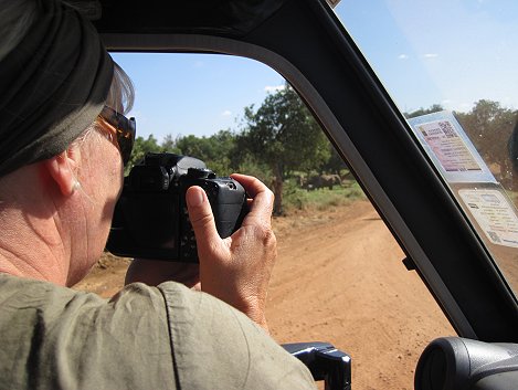 Elefanten im Tsavo Ost