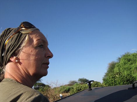 Elefanten im Tsavo Ost