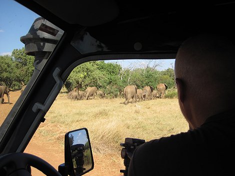 Elefanten im Tsavo Ost