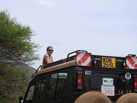 Game Drive im Tsavo West