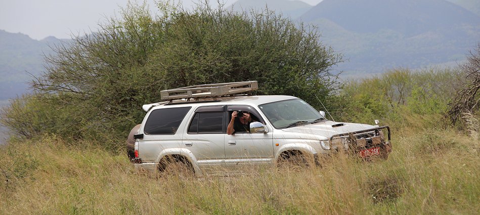 Game Drive im Tsavo West