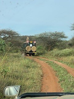 Game Drive im Tsavo West