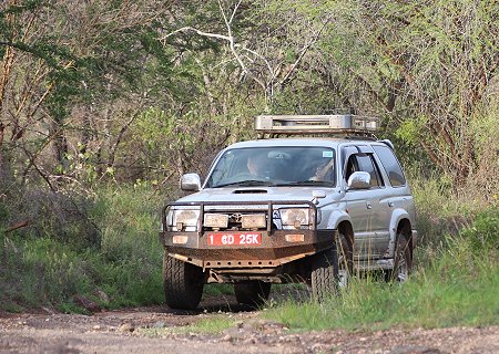 Game Drive im Tsavo West