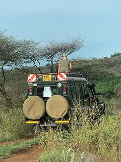 Game Drive im Tsavo West