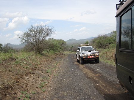 Game Drive im Tsavo West