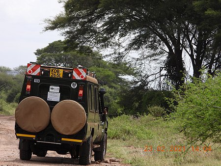 Game Drive im Tsavo West