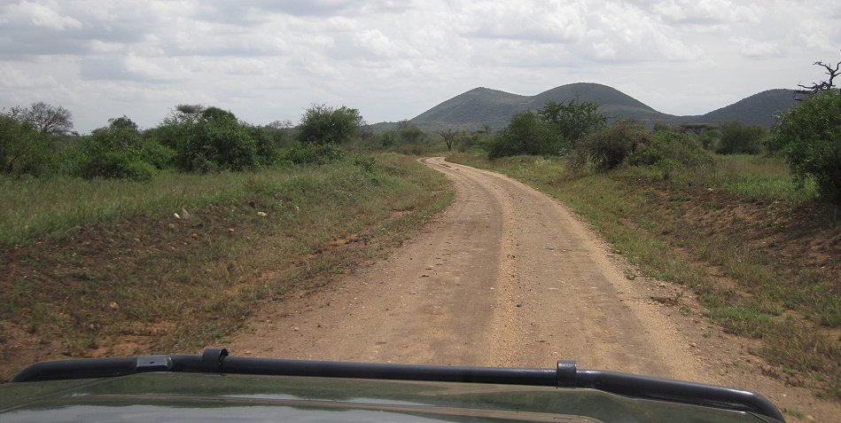 Game Drive im Tsavo West