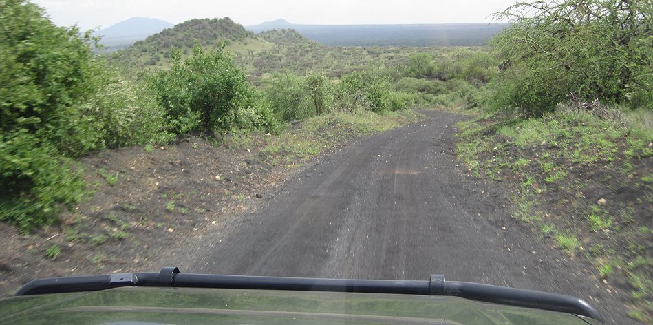 Game Drive im Tsavo West