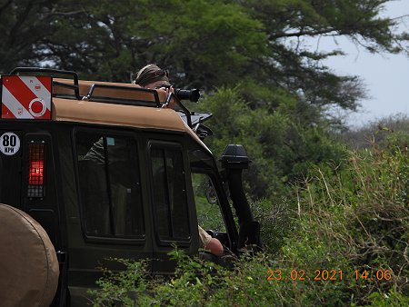 Game Drive im Tsavo West