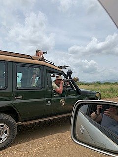 Giraffen