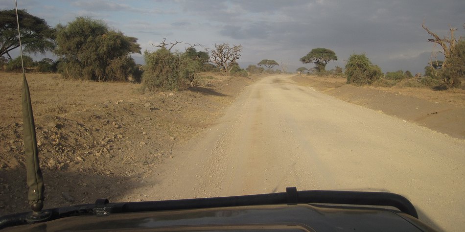 im Amboseli National Park