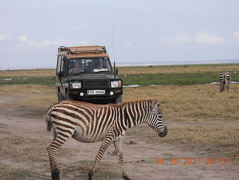 im Amboseli National Park