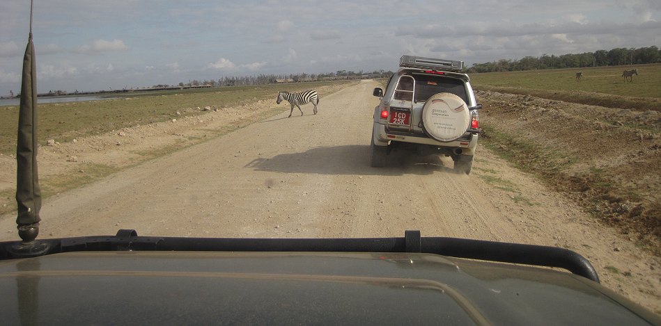 im Amboseli National Park