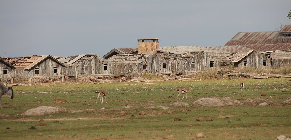 im Amboseli National Park