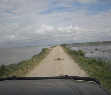 im Amboseli National Park