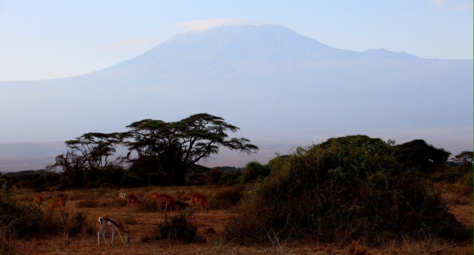 im Amboseli National Park