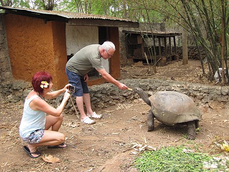 Boko Boko - Porini, Farm and Guesthouse