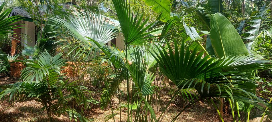 Boko Boko - Porini, Farm and Guesthouse