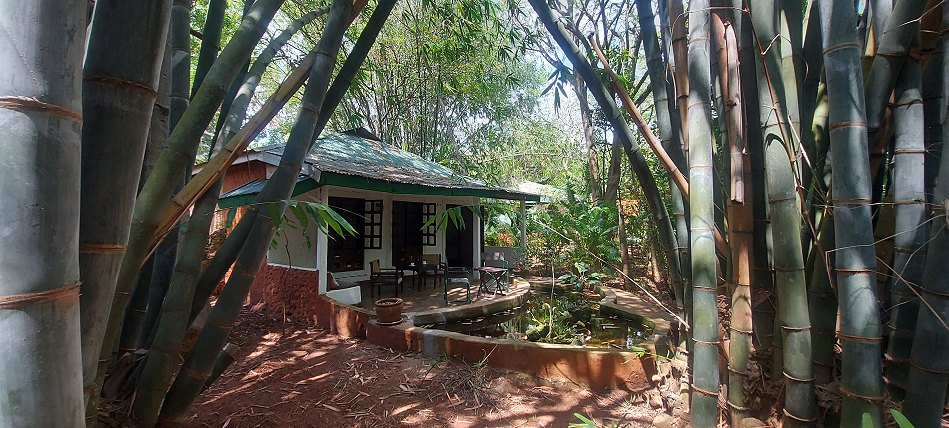 Boko Boko Bungalows, Urlaub im kleinen tropischen Urwald