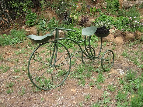 Bundu Cafe - Nanyuki, Mount Kenya