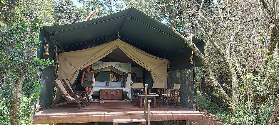 Mara Bush Camp