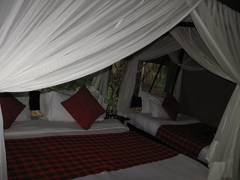Mara Bush Camp - Masai Mara