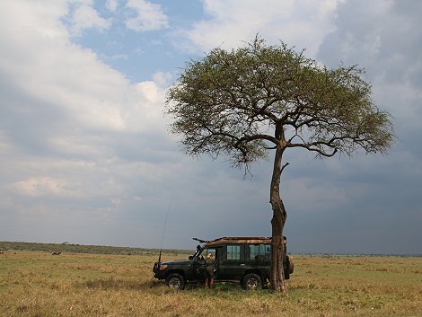Bush Lunch in Masai Mara