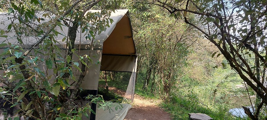 Mara Bush Camp - Bush Wing - Ol Are Orok River, Masai Mara