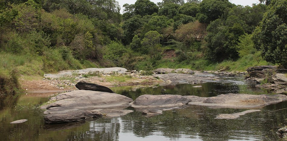 Am Mara Bush Camp