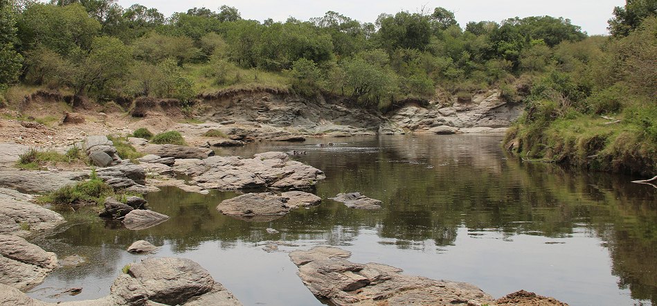 Am Mara Bush Camp