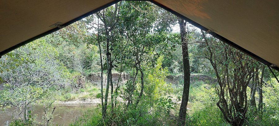 Mara Bush Camp - Bush Wing - Ol Are Orok River, Masai Mara