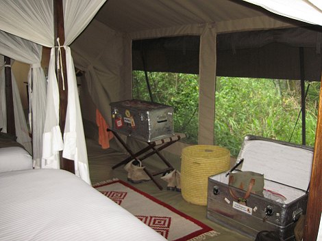 Mara Bush Camp - Bush Wing - Ol Are Orok River, Masai Mara