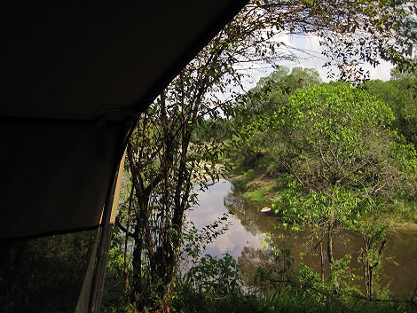 Mara Bush Camp - Bush Wing - Ol Are Orok River, Masai Mara