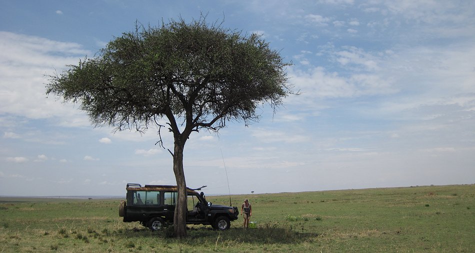 Buschfrühstück in der Masai Mara