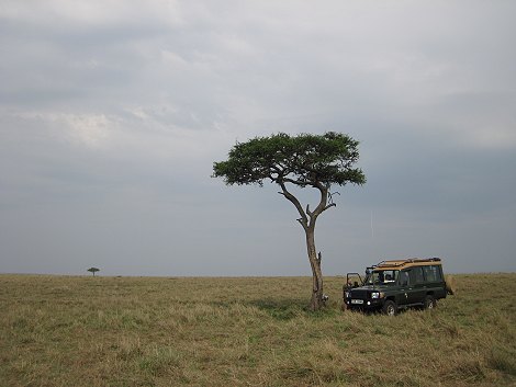 Buschfrühstück in der Masai Mara