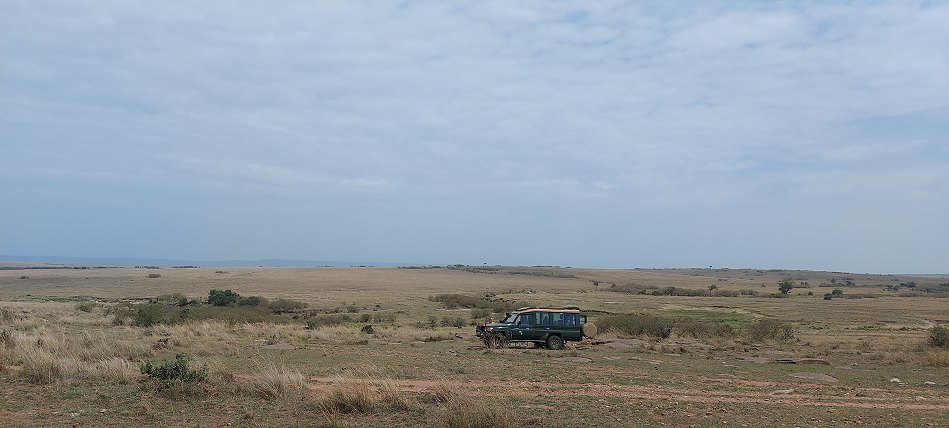 Buschfrühstück in der Masai Mara