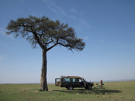 Buschfrühstück in der Masai Mara