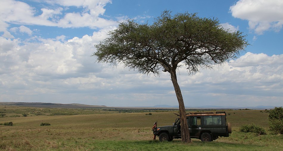 Buschfrühstück in der Masai Mara