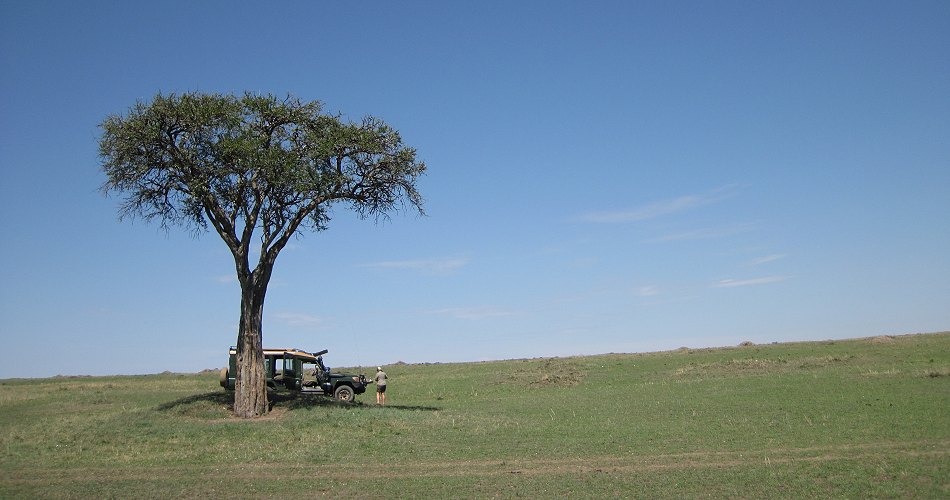 Buschfrühstück in der Masai Mara