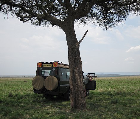 Elefantenbegegnung in der Masai Mara
