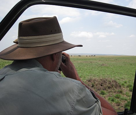 Elefantenbegegnung in der Masai Mara